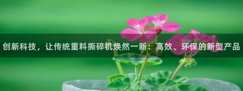 天亿娱乐宏发团队成员