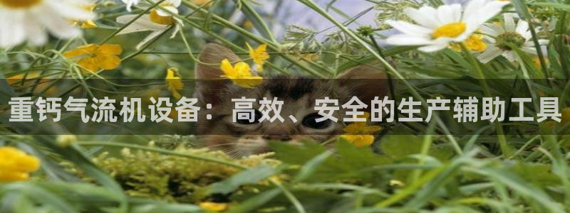 天宏娱乐传媒岳阳分公司