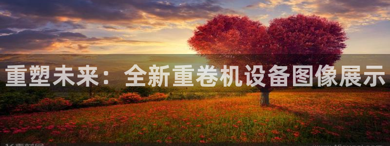 天宏娱乐直播在线观看高清