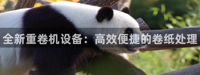 天宏娱乐a 判官