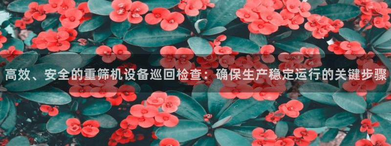 天宏娱乐 92229实c力