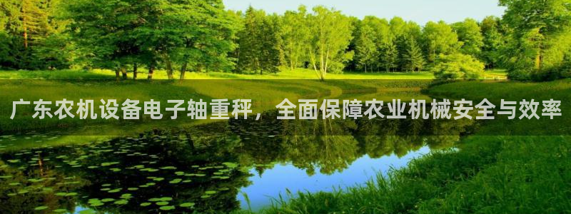 天宏娱乐平台登陆：广东农机设备电子轴重秤，全面保障农业机械安