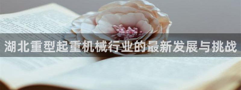 天宏娱乐团购价格多少：湖北重型起重机械行业的最新发展与挑战