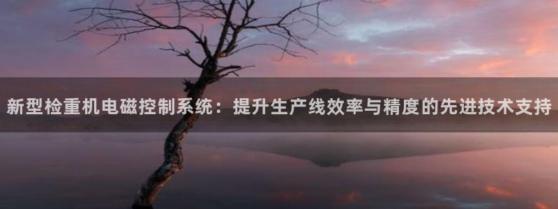 天宏娱乐2000：新型检重机电磁控制系统：提升生产线效率与精