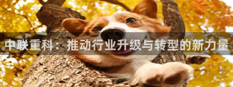天宏娱乐k 判官