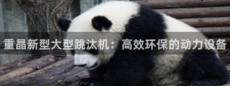 天宏娱乐怎么改号了