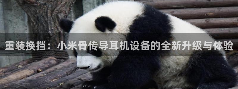 天宏娱乐小号是什么