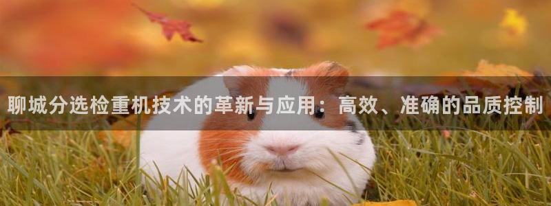 天宏娱乐实f力803466：聊城分选检重机技术的革新与应用：