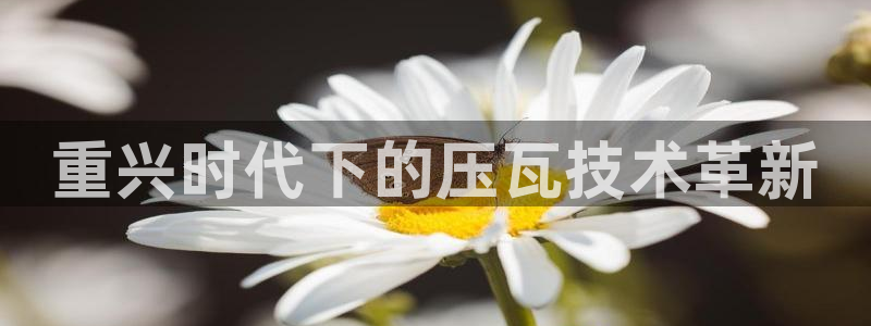 天宏娱乐创始人河源：重兴时代下的压瓦技术革新