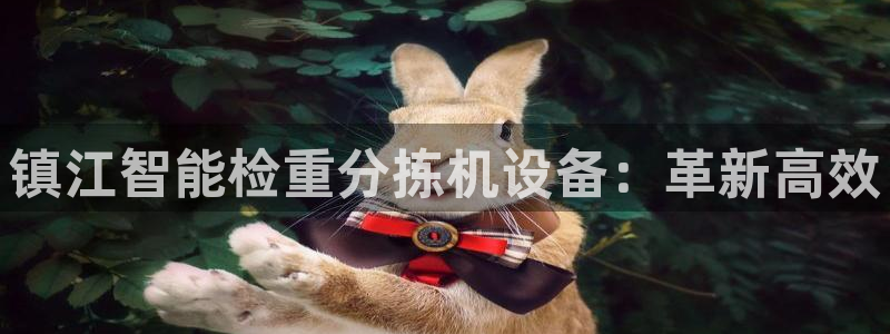 天宏娱乐金大叔：镇江智能检重分拣机设备：革新高效