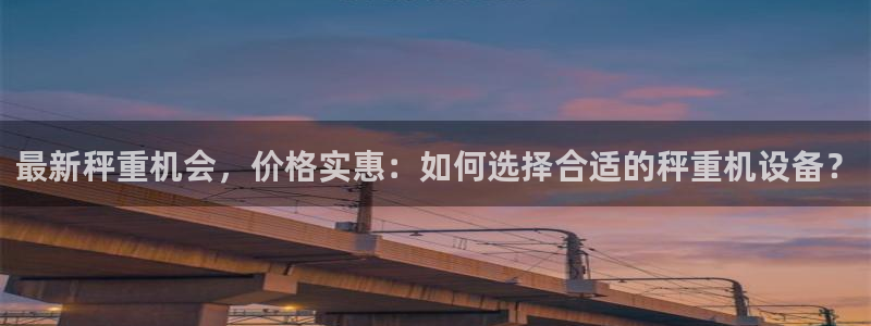 天宏娱乐金大叔：最新秤重机会，价格实惠：如何选择合适的秤重机