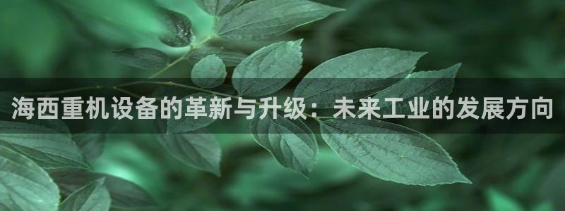 天宏娱乐倒闭了吗最近：海西重机设备的革新与升级：未来工业的发