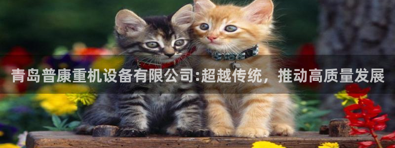 天宏娱乐直播：青岛普康重机设备有限公司:超越传统，推动高质量