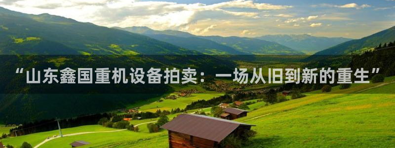 天宏娱乐秦叔老婆：“山东鑫国重机设备拍卖：一场从旧到新的重生