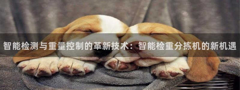 天宏3娱乐：智能检测与重量控制的革新技术：智能检重分拣机的新