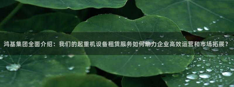 天宏娱乐h 判官