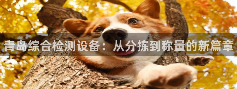 天宏娱乐直播团队介绍：青岛综合检测设备：从分拣到称量的新篇章