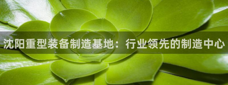 天宏娱乐家