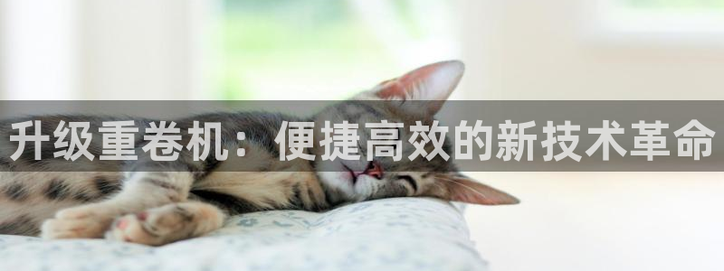 天宏娱乐总店