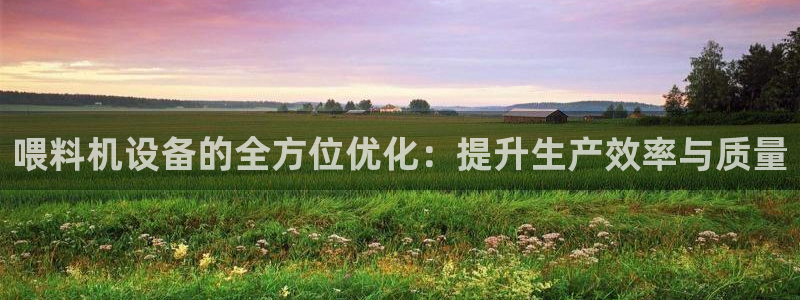 天宏娱乐怎样赚钱的：喂料机设备的全方位优化：提升生产效率与质