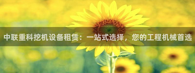 天宏娱乐d 判官