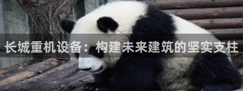 西安天宏娱乐团队：长城重机设备：构建未来建筑的坚实支柱