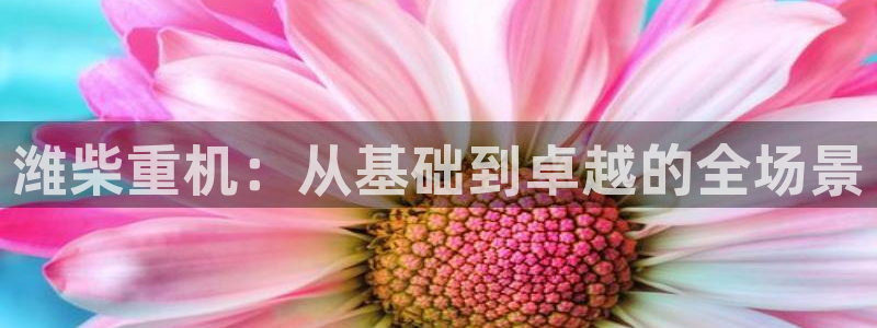天宏娱乐集团代理：潍柴重机：从基础到卓越的全场景