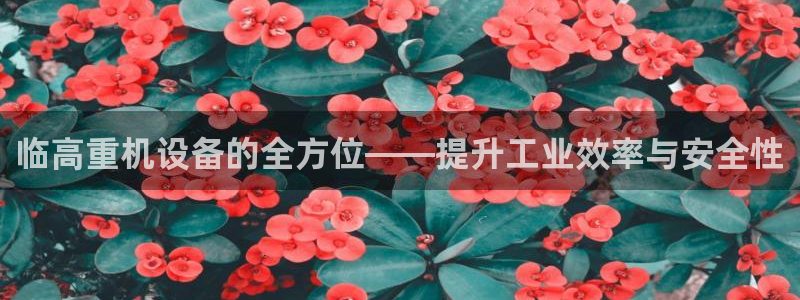 天宏娱乐有限公司