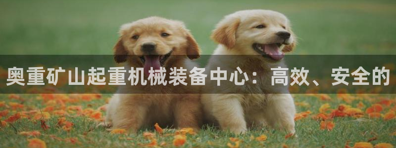 天宏娱乐i 判官