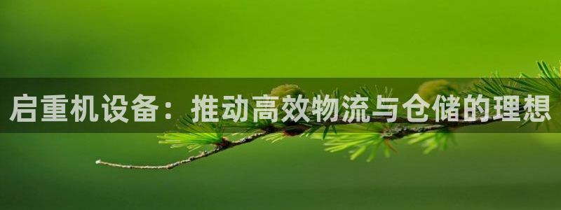 天宏娱乐 92229实c力：启重机设备：推动高效物流与仓储的