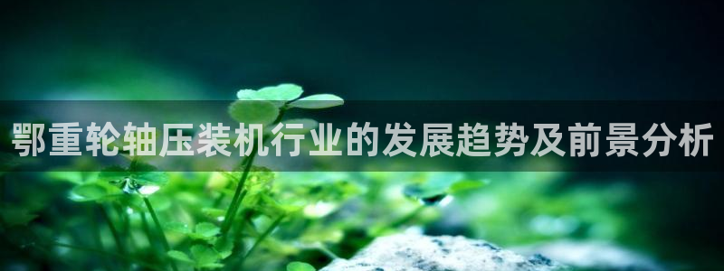 天宏娱乐小号怎么玩：鄂重轮轴压装机行业的发展趋势及前景分析