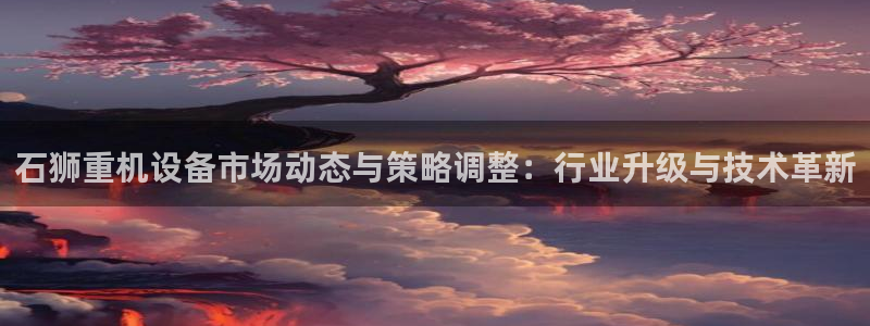 天宏娱乐 网址：石狮重机设备市场动态与策略调整：行业升级与技