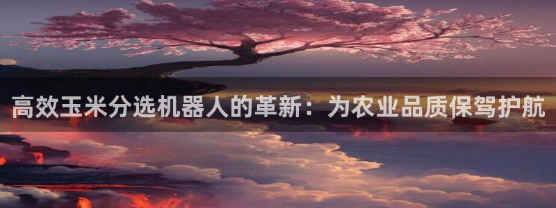 天宏2娱乐：高效玉米分选机器人的革新：为农业品质保驾护航