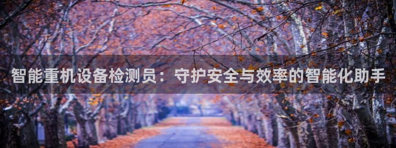 天宏娱乐 22376实e力：智能重机设备检测员：守护安全与效