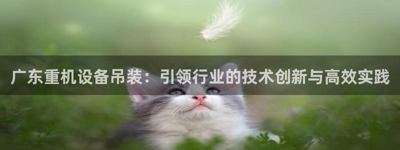 天宏娱乐陈叔：广东重机设备吊装：引领行业的技术创新与高效实践