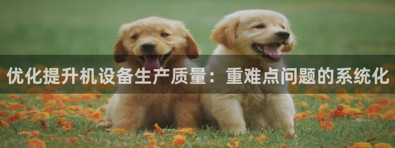 天宏娱乐倒闭了吗：优化提升机设备生产质量：重难点问题的系统化
