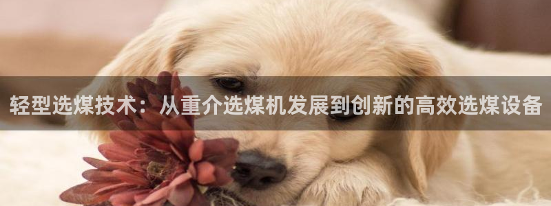 天宏娱乐 直播间：轻型选煤技术：从重介选煤机发展到创新的高效