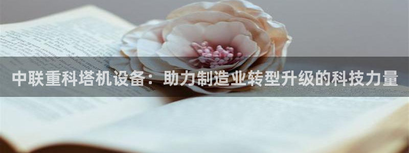 天宏2娱乐开户：中联重科塔机设备：助力制造业转型升级的科技力