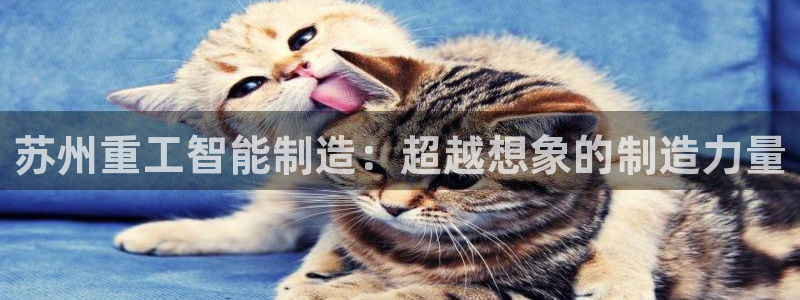 天宏娱乐 福星平台：苏州重工智能制造：超越想象的制造力量