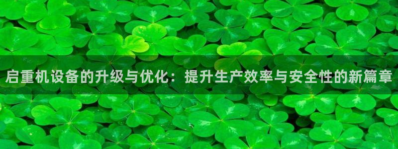 天宏娱乐公会：启重机设备的升级与优化：提升生产效率与安全性的