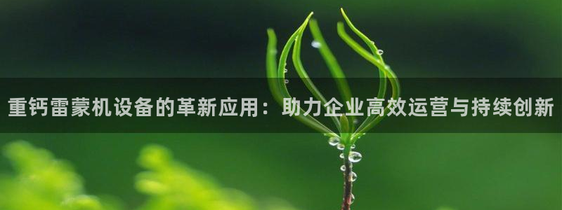 天宏娱乐 直播间在哪：重钙雷蒙机设备的革新应用：助力企业高效