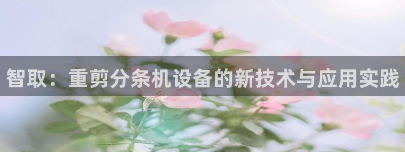 扬州天宏娱乐公司：智取：重剪分条机设备的新技术与应用实践